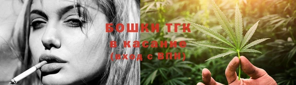 шишки Осташков