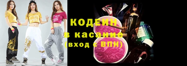 шишки Осташков
