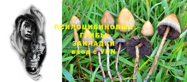 мяу мяу кристалл Няндома