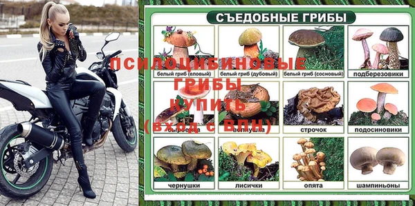 таблы Осинники