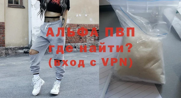 шишки Осташков