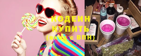 шишки Осташков