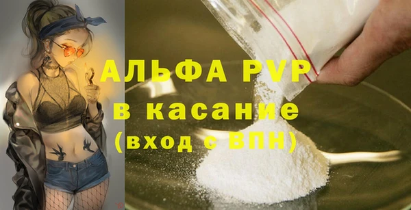 шишки Осташков