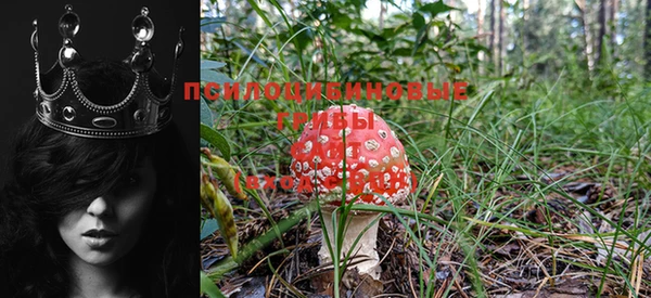 шишки Осташков