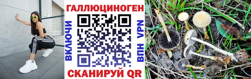 Галлюциногенные грибы Cubensis  Белоозёрский 